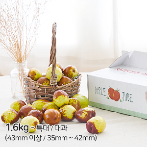 애플쥬베 사과대추(특대/대과) - 1.6kg